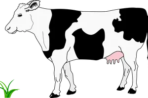 Read more about the article Has science solved cattle emissions?