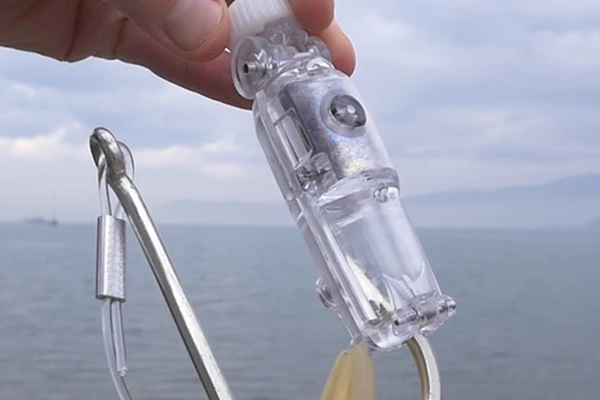 You are currently viewing A device to save millions of seabirds