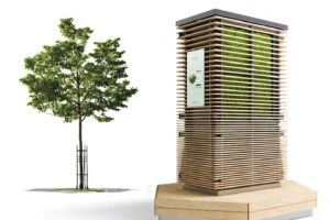 Read more about the article Purifying plants vs the urban jungle