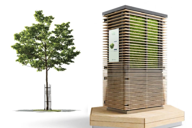 You are currently viewing Purifying plants vs the urban jungle
