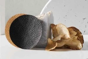 Read more about the article Is Funghi the new black?