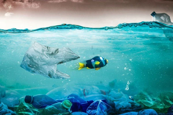 You are currently viewing Innovators take aim at ocean plastic