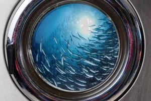 Read more about the article Washing the world of microplastics 