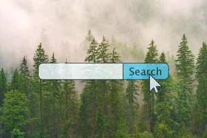 Read more about the article Searching for a better world