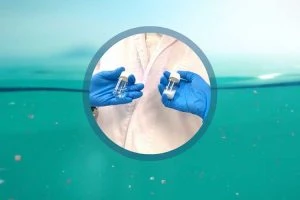 Read more about the article Fatal attraction for microplastics